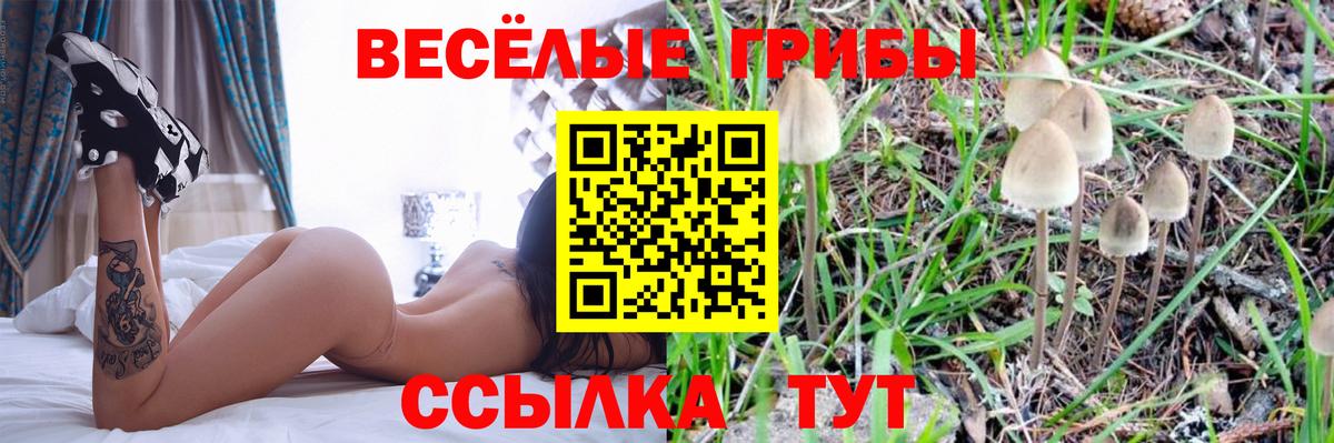 Псилоцибиновые грибы мухоморы Фурманов