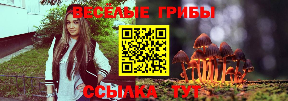 Галлюциногенные грибы Psilocybe  Вход с VPN  хочу   Фурманов  Псилоцибиновые грибы мицелий 